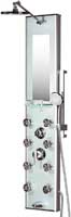 Pulse ShowerSpa Kihei with Mirror